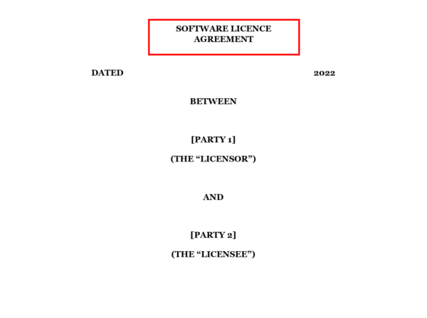 Software Licence Agreement (RVD)
